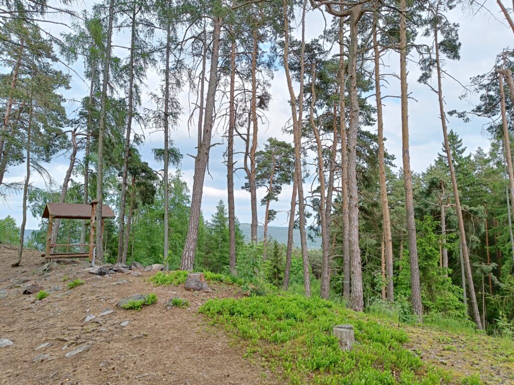 Vyhlídka na Starý Plzenec